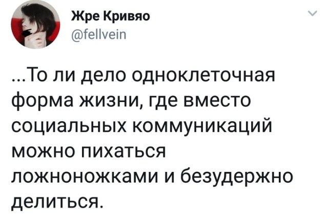 Прикольные картинки (41 фото) 26.12.2018