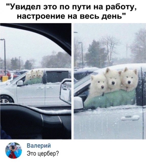 Прикольные картинки (41 фото) 26.12.2018