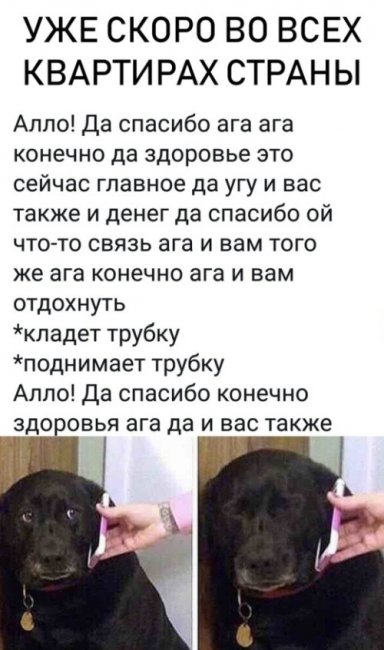 Прикольные картинки (41 фото) 26.12.2018