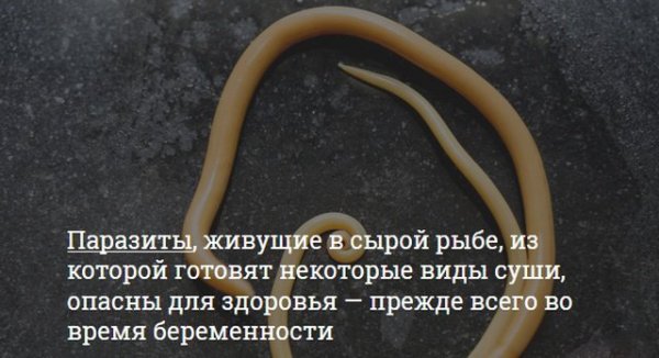 Опасности, которые подстерегают любителей суши Опасности, которые подстерегают любителей суши