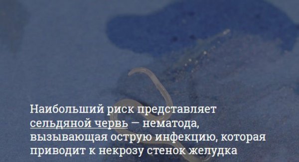 Опасности, которые подстерегают любителей суши Опасности, которые подстерегают любителей суши