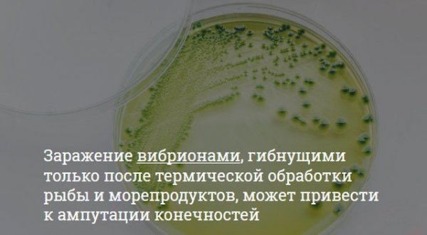 Опасности, которые подстерегают любителей суши Опасности, которые подстерегают любителей суши